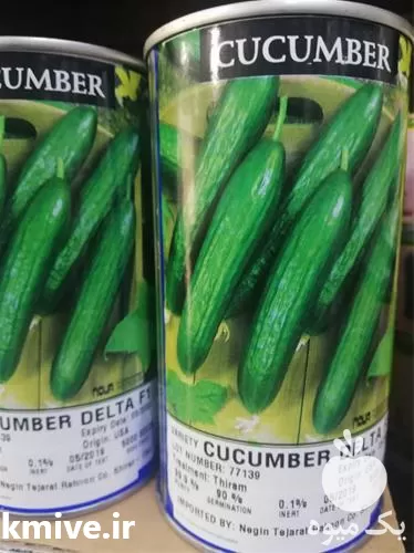 قیمت خرید بذر خیار دلتا در قم در گروه خرید و فروش بذر خیار در یکمیوه -عکس1
