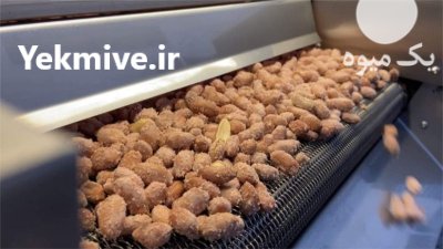 ماشین آلات خشکبار آجیل پزی در تبریز در گروه خشک کن در یکمیوه -عکس2