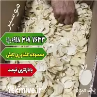 پودر سیر خلال سیر موسیر سیر در همدان در گروه خرید و فروش سیر در یکمیوه