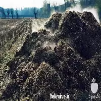 فروش و ارسال انواع کود دامی در تهران در گروه خرید و فروش کود دامی در یکمیوه