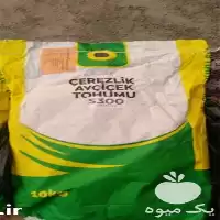 خرید بذر آفتابگردان اس بذر اس در گروه خرید و فروش بذر آفتابگردان در یکمیوه