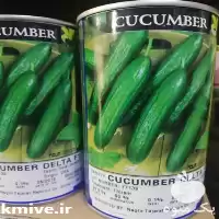 قیمت خرید بذر خیار دلتا در قم در گروه خرید و فروش بذر خیار در یکمیوه