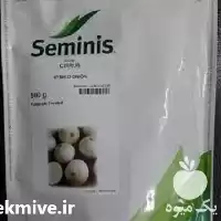 فروش بذر پیاز روز کوتاه سایروس در قزوین در گروه خرید و فروش بذر پیاز در یکمیوه