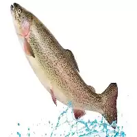 تا صد دوره آموزشی پرورش ماهی در تهران در گروه دوره آموزش کشاورزی در یکمیوه