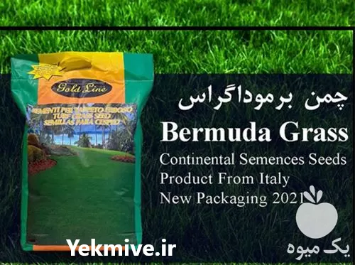 خرید بذر چمن برموداگراس در تهران در گروه خرید و فروش بذر چمن در یکمیوه -عکس1