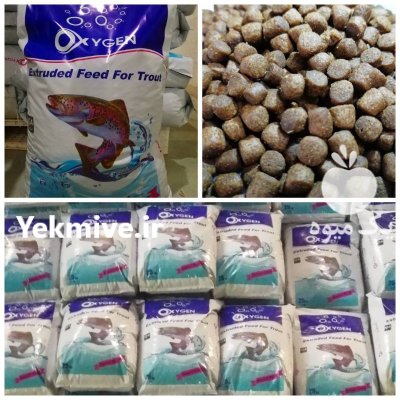 خوراک با کیفیت آبزیان در اسلامشهر در گروه خوراک دام و طیور در یکمیوه -عکس1