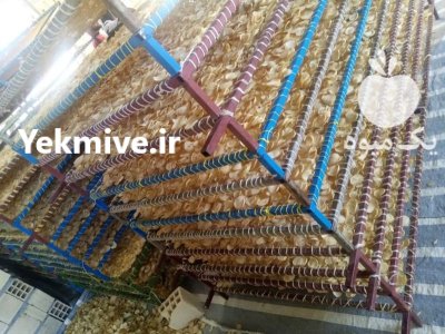 فروش موسیر در تیران در گروه خرید و فروش سیر در یکمیوه -عکس2