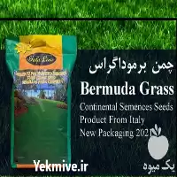 خرید بذر چمن برموداگراس در تهران در گروه خرید و فروش بذر چمن در یکمیوه