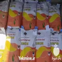 خرید انواع بذر ذرت علوفه ای در گروه خرید و فروش بذر ذرت در یکمیوه
