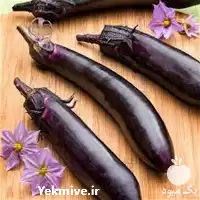 خرید بذر بادمجان سیاه بلند قیمت در گروه خرید و فروش بذر بادمجان در یکمیوه