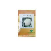 فروش بذر خربزه ملون الوا در تهران در گروه خرید و فروش بذر خربزه در یکمیوه