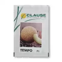 خرید عرضه بذر خربزه گالیا تمپو در گروه خرید و فروش بذر خربزه در یکمیوه