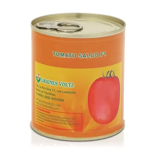 خرید عرضه بذر گوجه سالدو در هرمز در گروه خرید و فروش بذر گوجه در یکمیوه -عکس1