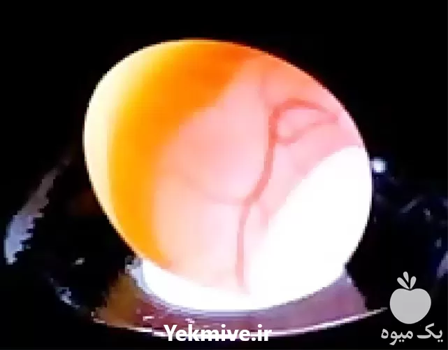 فروش تخم نطفه دار در گروه انواع تخم ها در یکمیوه -عکس1