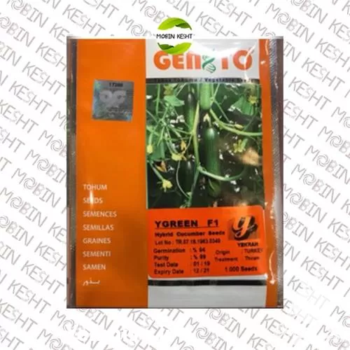 فروش بذر خیار و ای گرین در خراسان جنوبی در گروه خرید و فروش بذر خیار در یکمیوه -عکس1