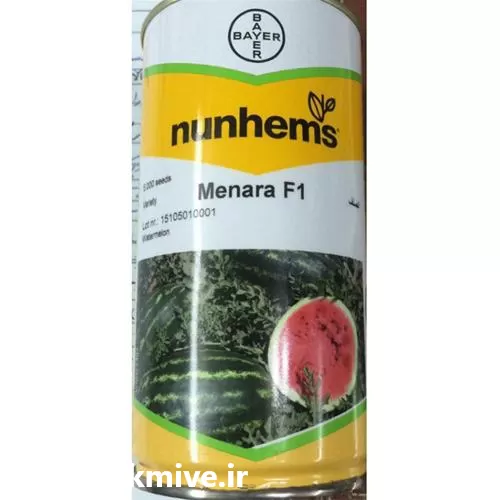 فروش بذر هندوانه منارا اصل در یزد در گروه خرید و فروش بذر هندوانه در یکمیوه -عکس1