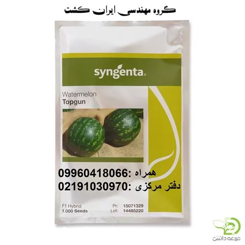 خرید بذر هندوانه تاپ گان F 1 در گروه خرید و فروش بذر هندوانه در یکمیوه -عکس1