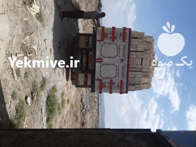 جعبه سازی ملایر در گروه خرید و فروش بسته بندی چوبی در یکمیوه -عکس2