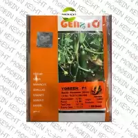 فروش بذر خیار و ای گرین در خراسان جنوبی در گروه خرید و فروش بذر خیار در یکمیوه