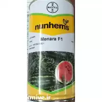 فروش بذر هندوانه منارا اصل در یزد در گروه خرید و فروش بذر هندوانه در یکمیوه