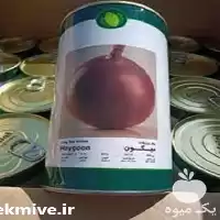 عرضه بذر پیاز میگون با کیفیت در خراسان رضوی در گروه خرید و فروش بذر پیاز در یکمیوه
