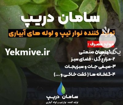 فروش نوار آبیاری قطره ای نوار در تهران در گروه خرید و فروش دستگاه آبیاری در یکمیوه -عکس1