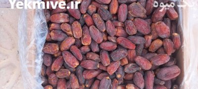 فروش خرما زاهدی و خرما مجول در گروه خرید و فروش خرما در یکمیوه -عکس1