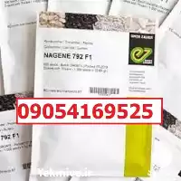 بذر خیار ناگین پرفروش اصل در گروه خرید و فروش بذر خیار در یکمیوه