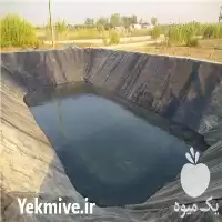 خرید تولید و اجرای ورق ژئوممبران در تهران در گروه خرید و فروش ژئوممبران و ژئوتکستایل در یکمیوه