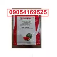 قیمت خرید بذر هندوانه تگزاس اصل در گروه خرید و فروش بذر هندوانه در یکمیوه