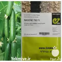 فروش بذر خیار گلخانه ای ناگین در یزد در گروه خرید و فروش بذر خیار در یکمیوه