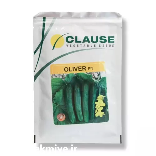 فروش بذر خیار الیور کلوز در تهران در گروه خرید و فروش بذر خیار در یکمیوه -عکس1