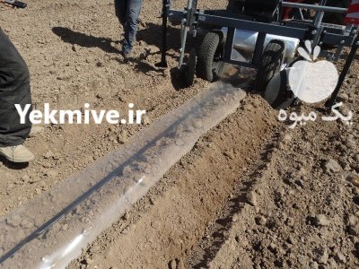 کودریز دامی صیفی جات در حاجی آباد در گروه خرید و فروش دستگاه کودپاش در یکمیوه -عکس4