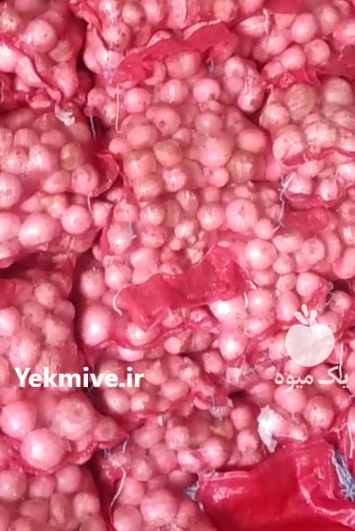  پیاز سفید در دزفول در گروه خرید و فروش پیاز در یکمیوه -عکس1