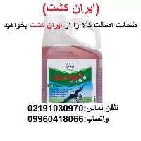 خرید سم قارچ کش برند فالکون در گروه خرید و فروش انواع سم در یکمیوه