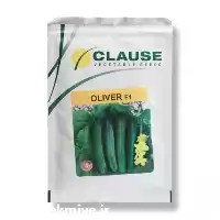 فروش بذر خیار الیور کلوز در تهران در گروه خرید و فروش بذر خیار در یکمیوه