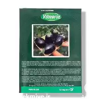 خرید عرضه بذر بادمجان دلمه ای در سمنان در گروه خرید و فروش بذر بادمجان در یکمیوه