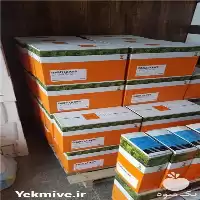 فروش انواع بذر چغندر در اصفهان در گروه خرید و فروش بذر چغندر در یکمیوه