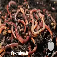 فروش ویژه کود ورمی کمپوست در گروه خرید و فروش کود کمپوست در یکمیوه