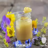 آموزش تخصصی ولید ژل رویال در تهران در گروه دوره آموزش کشاورزی در یکمیوه
