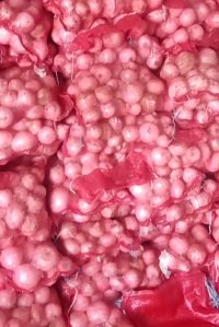  پیاز سفید در دزفول در گروه خرید و فروش پیاز در یکمیوه