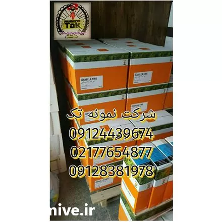 فروش بذر چغندر در گروه خرید و فروش بذر چغندر در یکمیوه -عکس1