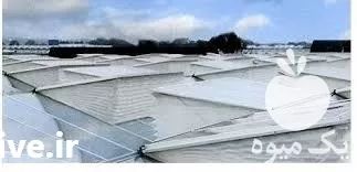 قیمت خرید توری ضد حشره گلخانه در گروه خرید و فروش توری گلخانه در یکمیوه -عکس1