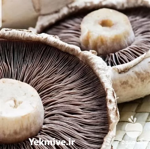 خرید آموزش پرورش انواع قارچ در گروه دوره آموزش کشاورزی در یکمیوه -عکس1