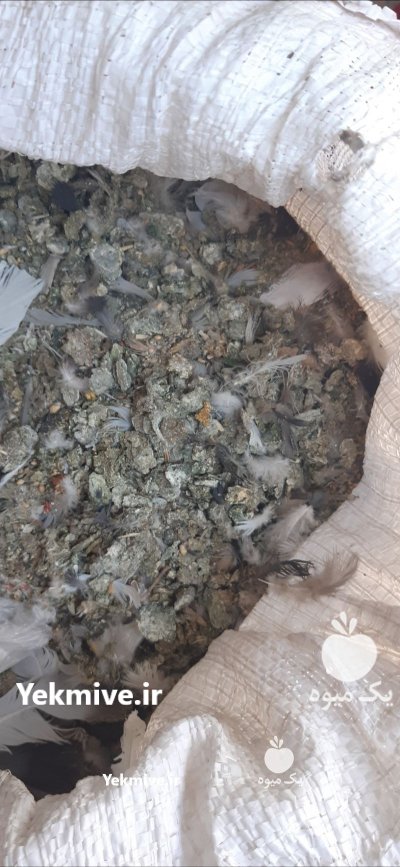 کود کبوتر کفتر در ابرکوه در گروه خرید و فروش کود کبوتر در یکمیوه -عکس1