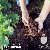 فروش ویژه کود ورمی کمپوست ارگانیک در تهران در گروه خرید و فروش کود کمپوست در یکمیوه