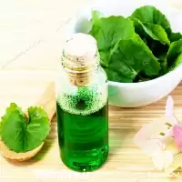 خرید ویژه روغن های خوراکی کمیاب در تهران در گروه خرید و فروش انواع روغن در یکمیوه