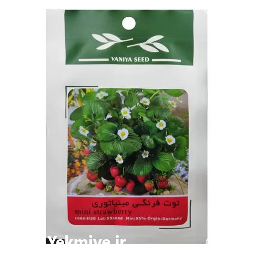 فروش بذر توت فرنگی مینیاتوری در خراسان شمالی در گروه خرید و فروش انواع بذر در یکمیوه -عکس1