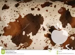 قیمت خرید صادرات پوست کراست شترمرغ در مشهد در گروه مرغ و خروس و بوقلمون و اردک قو قاز در یکمیوه -عکس1