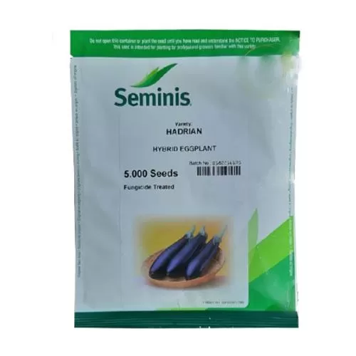 فروش بذر بادمجان هادریان در سیستان و بلوچستان در گروه خرید و فروش بذر بادمجان در یکمیوه -عکس1